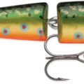 Brook Trout