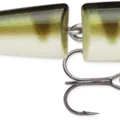 Yellow Perch