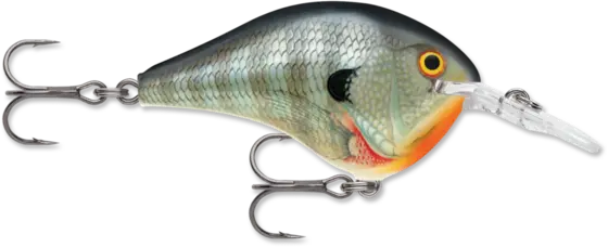 Rapala DT (Dives-To) Series