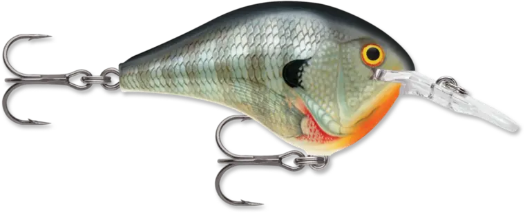 Rapala DT (Dives-To) Series