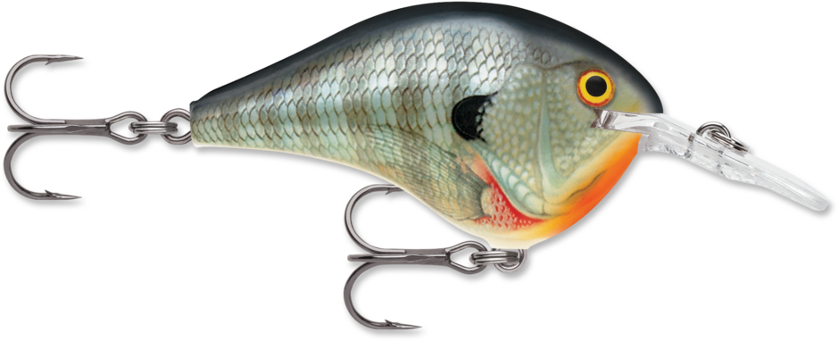 Rapala DT (Dives-To) Series