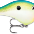 Citrus Shad