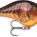 Dark Brown Crawdad