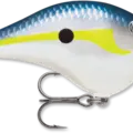 Helsinki Shad