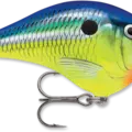 Parrot