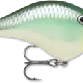Blue Back Herring