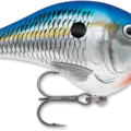 Blue Shad