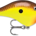Chartreuse Brown