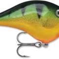 Perch
