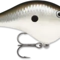 Pearl Grey Shiner