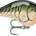 Olive Green Crawdad