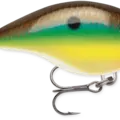 Bream