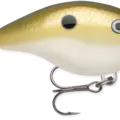 Lemon Shad