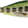 Olive Green Muddler