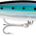 Blue Sardine