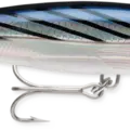 Bonito