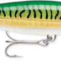 Gold Green Mackerel