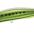 UV Full Metal Chart Sardine
