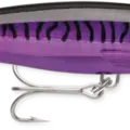 Purple Mackerel