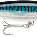Silver Blue Mackerel