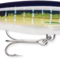 Sailfish UV