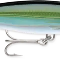 Yellowfin Tuna