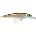 HD Squid