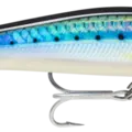 HD Blue Sardine