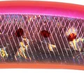 Pink Sardine