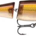 Gold Shiner