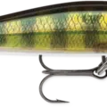 Live Perch