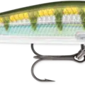 Yellow Perch