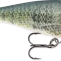 Custom HD Live Bluegill