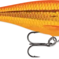 Goldfish