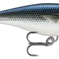 Mullet