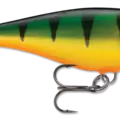 Perch