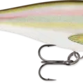 Custom HD Live River Shad