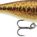 Custom HD Live Smallmouth Bass