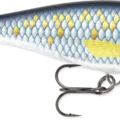 Scaled Baitfish