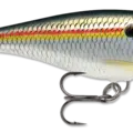 Shad