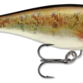 Walleye