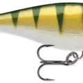 Yellow Perch