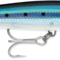 Blue Sardine