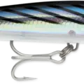 Bonito