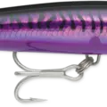 Purple Mackerel