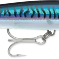 Silver Blue Mackerel