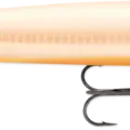 Bone