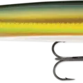 Gold Olive