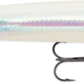Holographic Bone