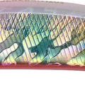 Rainbow RB